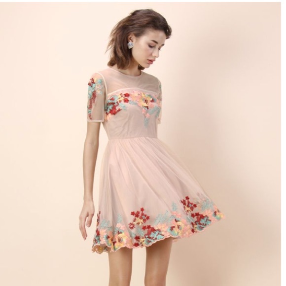 Chicwish Dresses & Skirts - Chicwish Floral Embroidered Mini Dress
